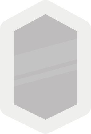 Silver level badge